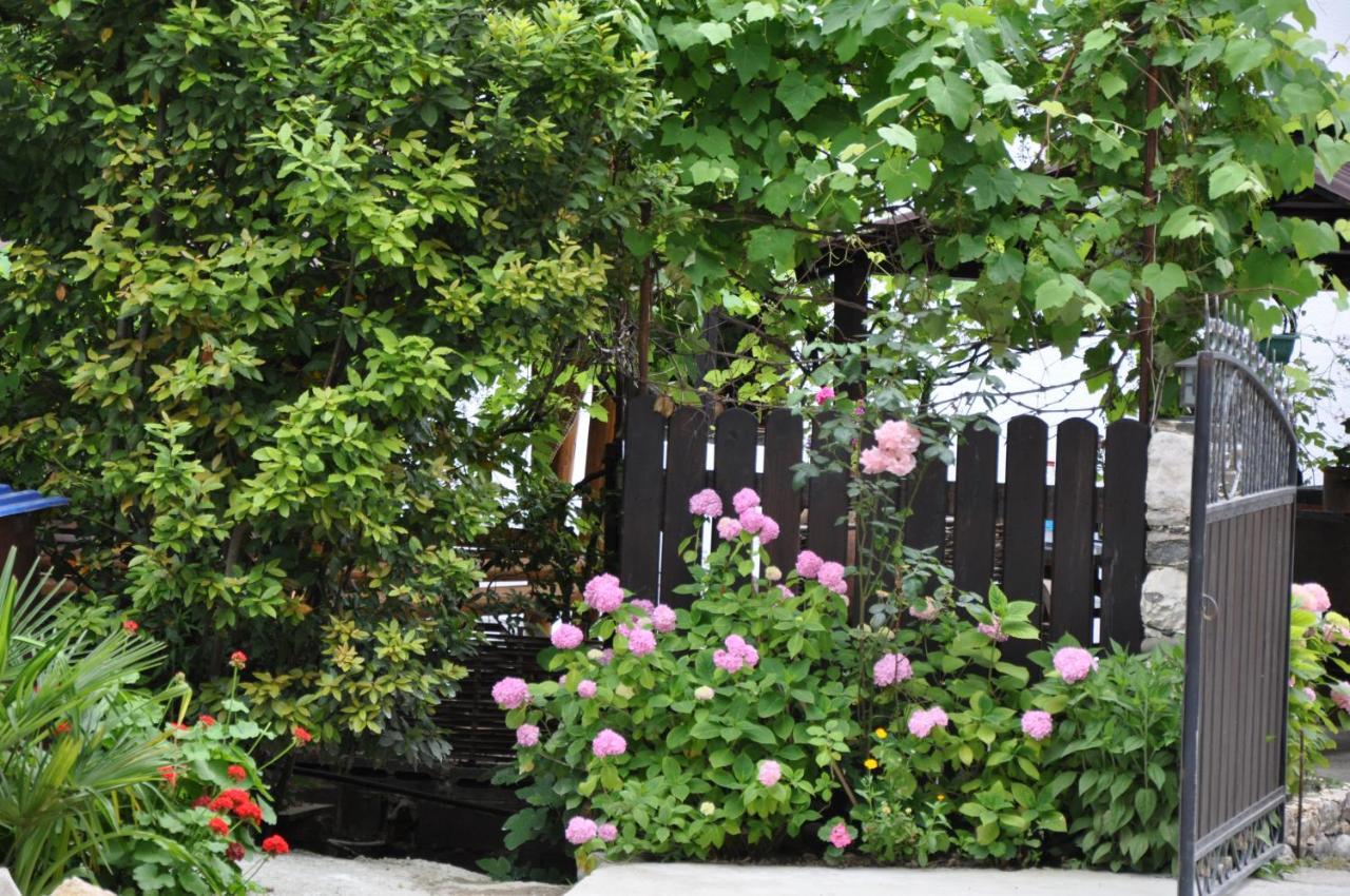 Mini Hotel Lidia New Athos Exterior foto